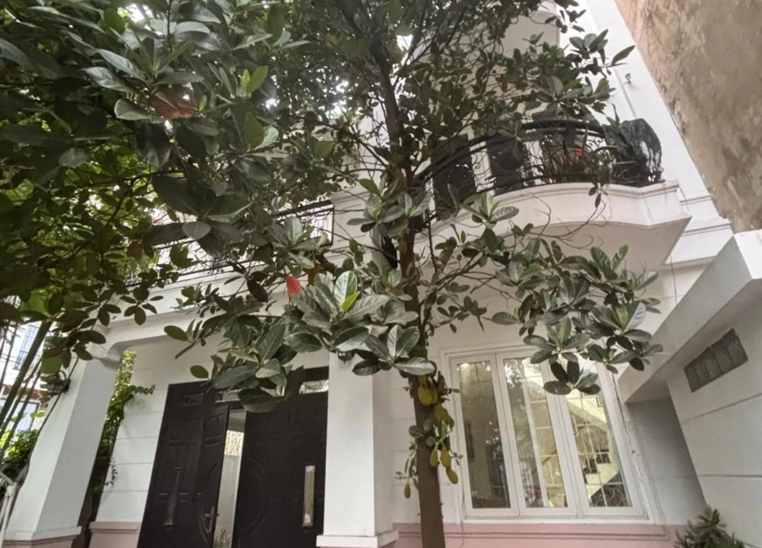 Lizhome Da Nang Vietnam